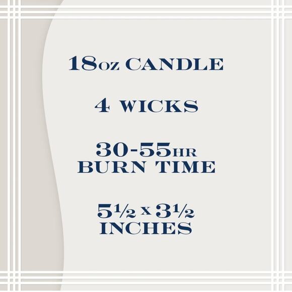 🆕 HomeWorx Blueberry Cheesecake 4 wick candle blogger fan favorite 18 oz - Picture 9 of 12